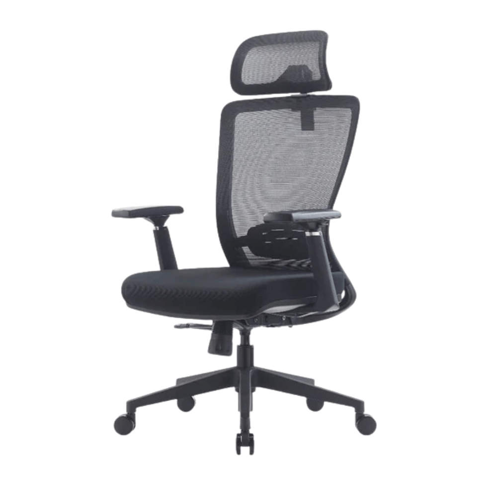 Ergonomic Chair