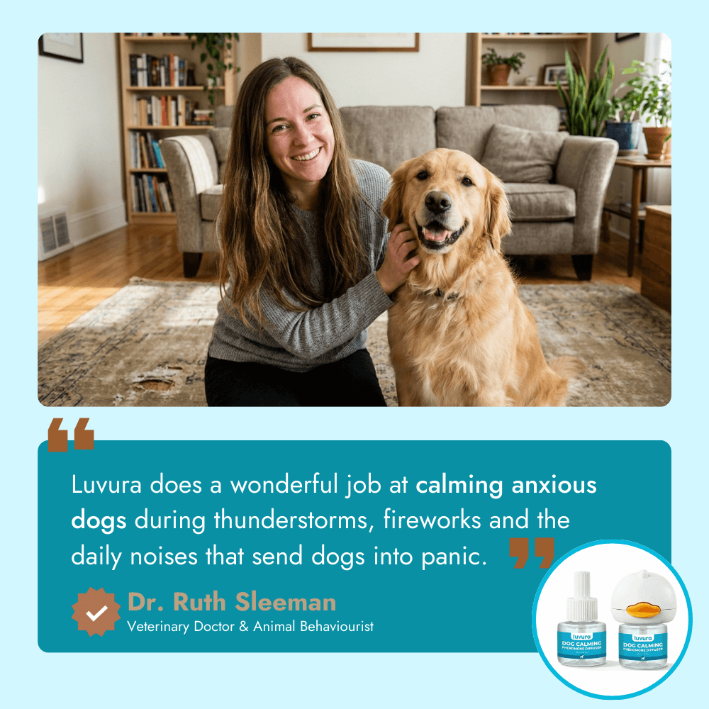 Dogs Calming Diffuser Kit
