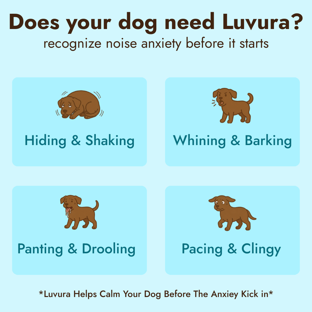 Dogs Calming Diffuser Kit