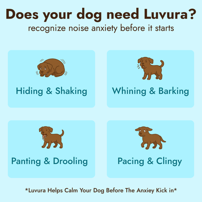 Dogs Calming Diffuser Kit