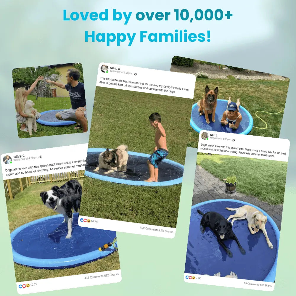 Pup Paradise™ Sprinkler Pad
