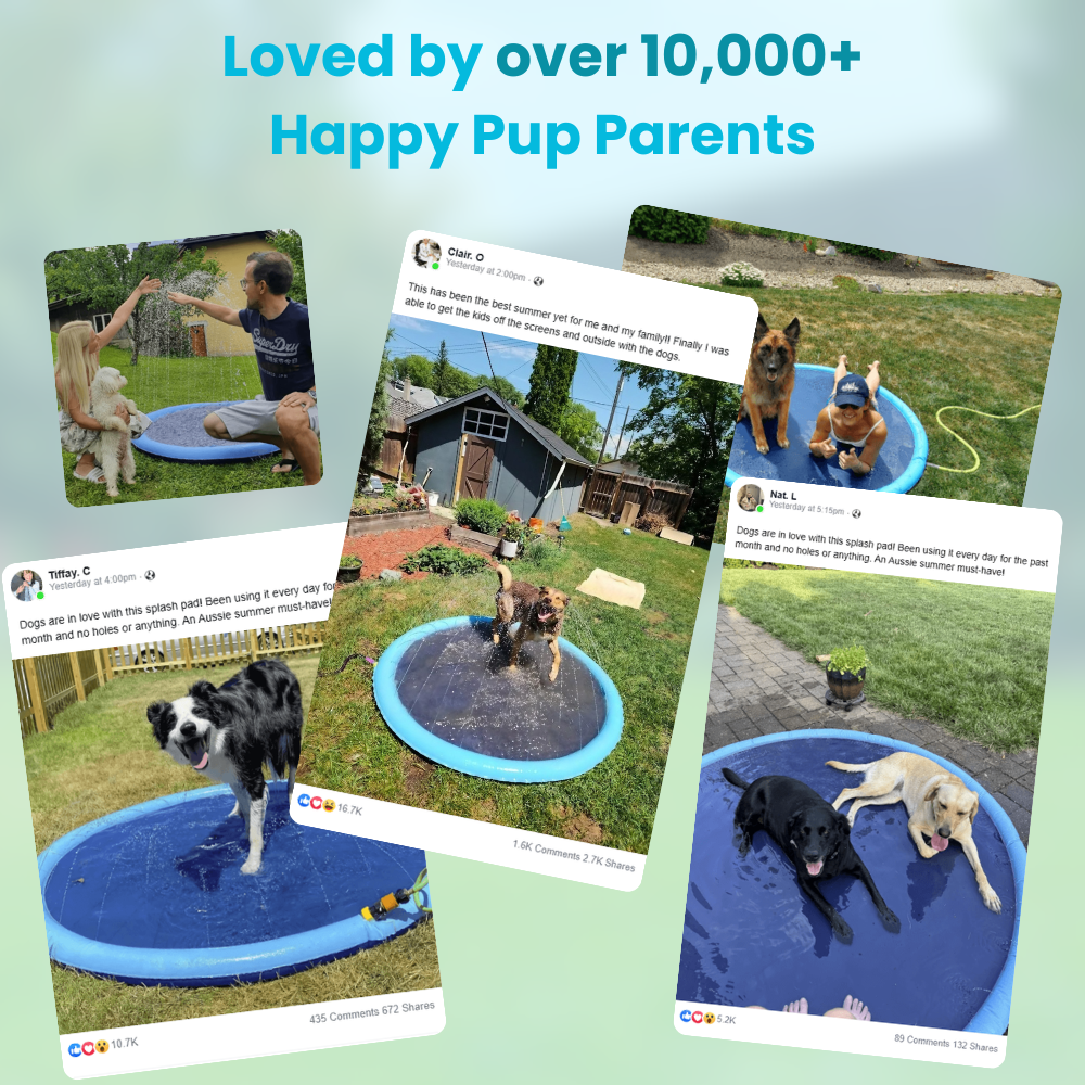 Pup Paradise™ Sprinkler Pad