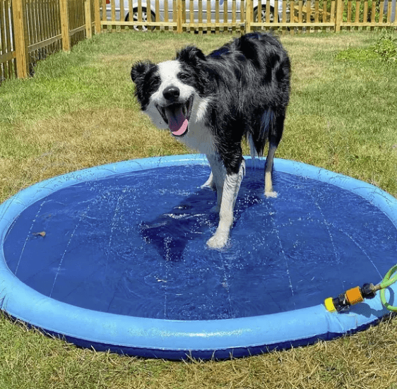 Splash bundles