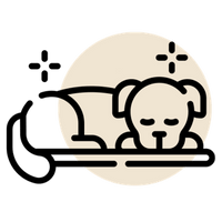 A Calmer Dog, a Calmer Home