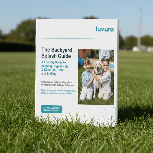 Safe Summer Fun E-Book