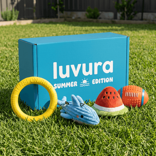 Summer Play Pack