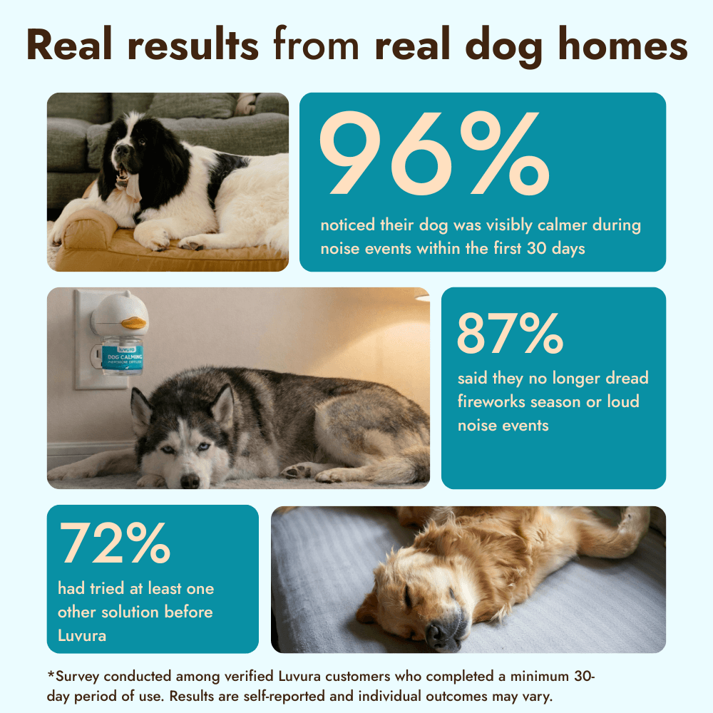 Dogs Calming Diffuser Kit