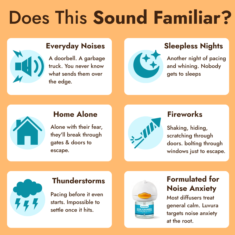 Dogs Calming Diffuser Kit