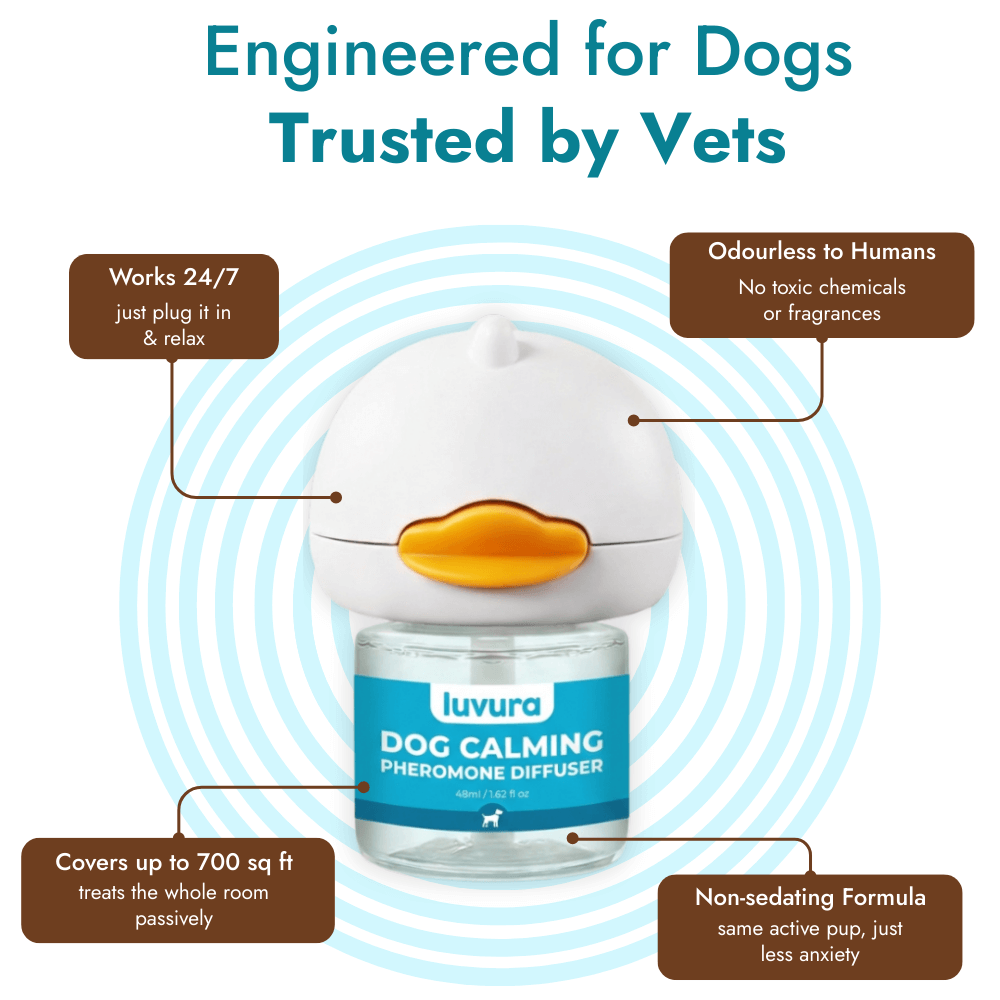 Dogs Calming Diffuser Kit