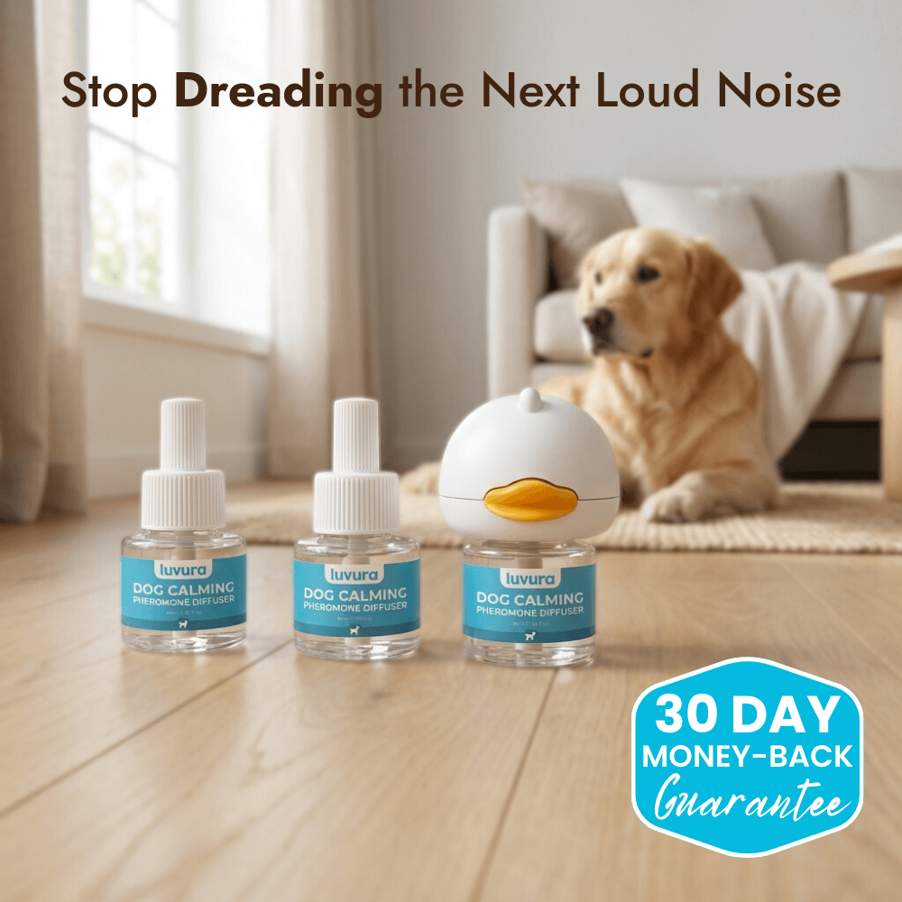 Dogs Calming Diffuser Kit