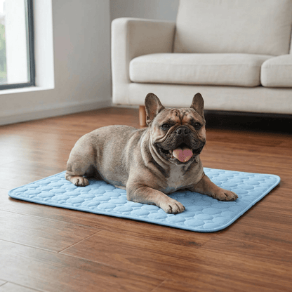 Dog Cooling Mat
