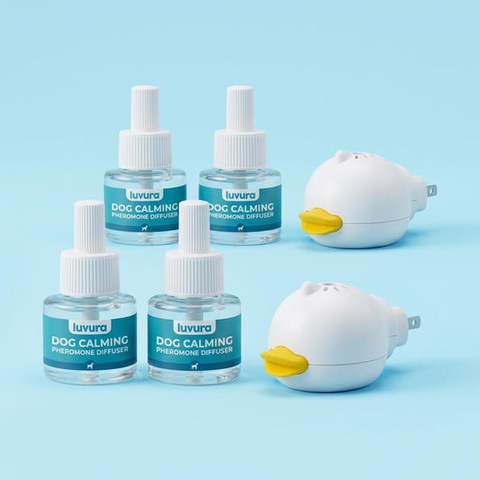 2 Diffuser 4 Refills