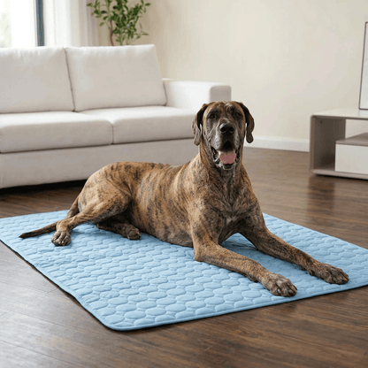Dog Cooling Mat