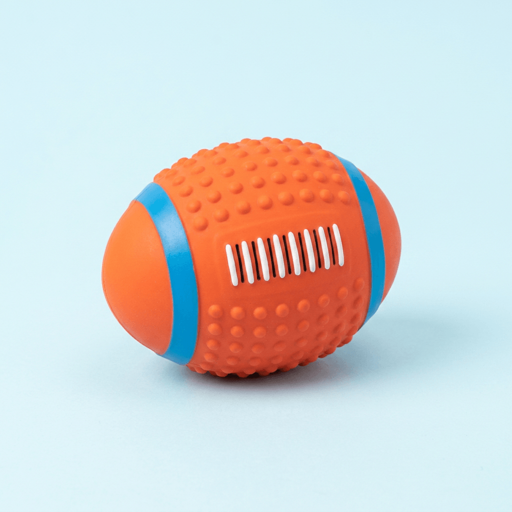 Squeaky Splash Ball